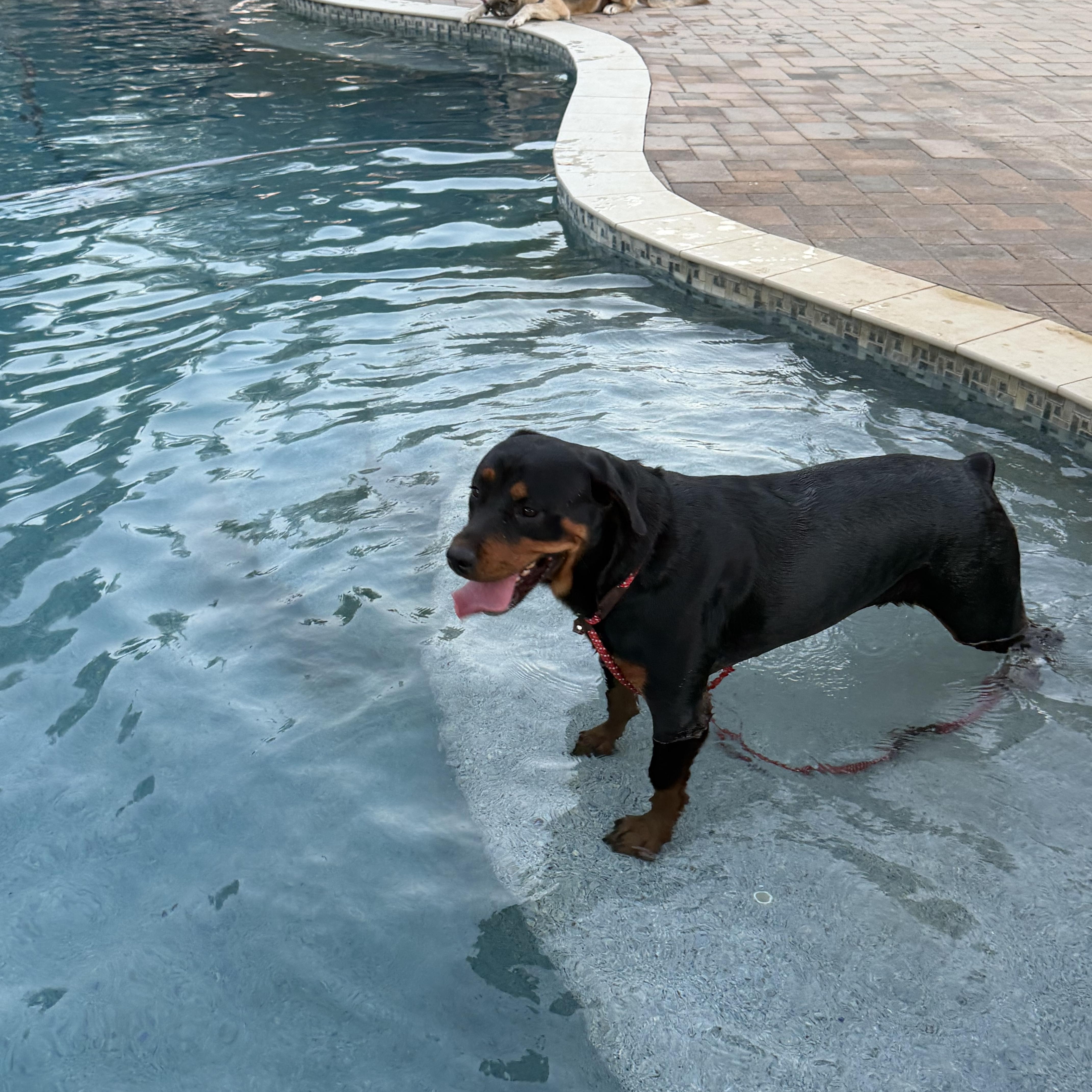 Meeka thumbnail 3