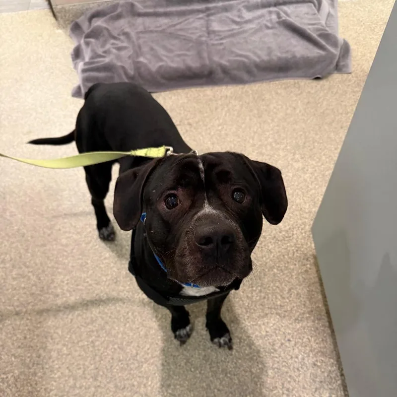 Kane Brown thumbnail 2