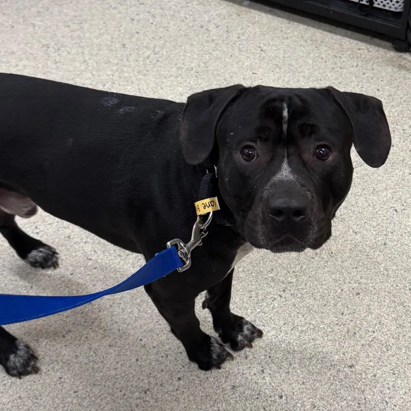 Kane Brown thumbnail 3