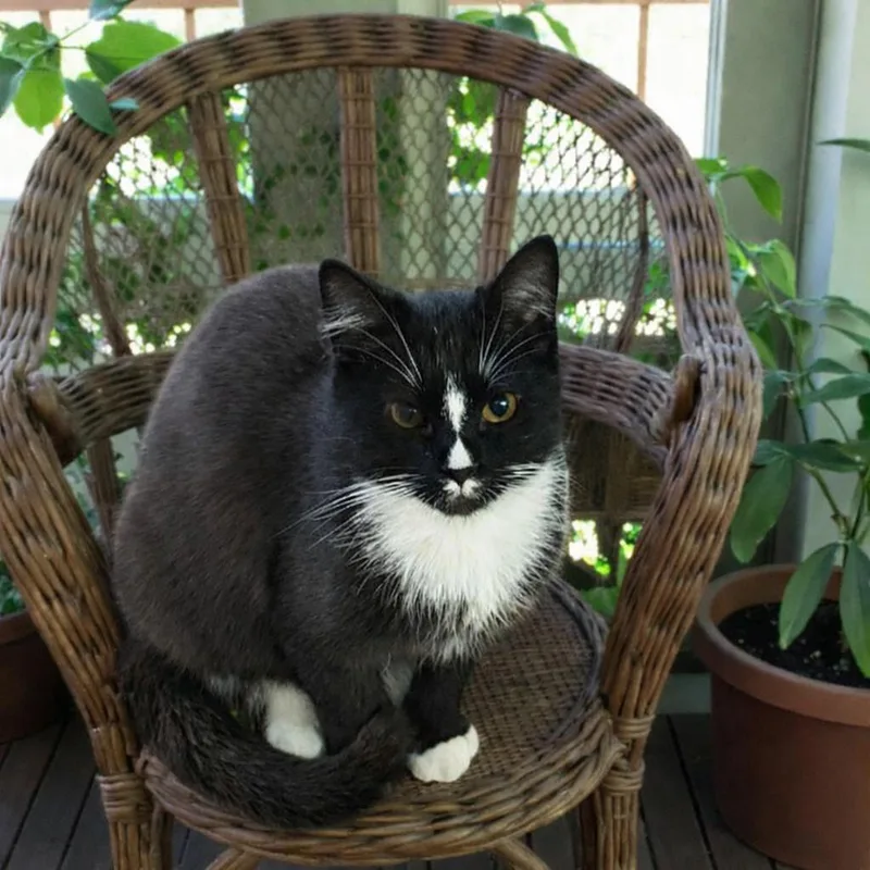 Gia — Grace  thumbnail 5