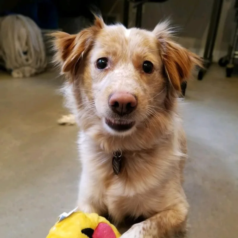 Root Beer thumbnail 4