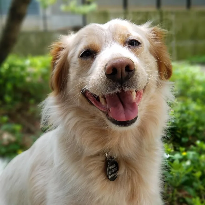 Root Beer thumbnail 5