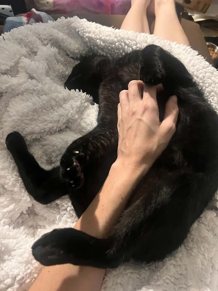 Captain Cuddles thumbnail 3