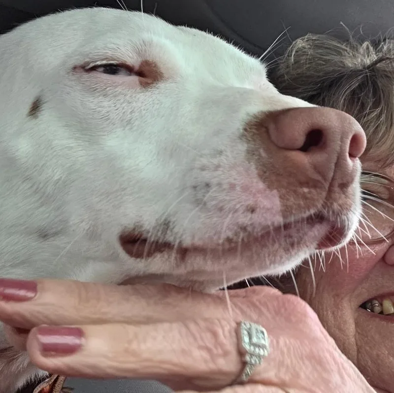Hank thumbnail 2