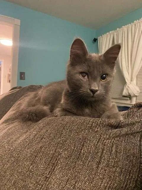 Clay And Armani thumbnail 3