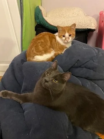 Clay And Armani thumbnail 4