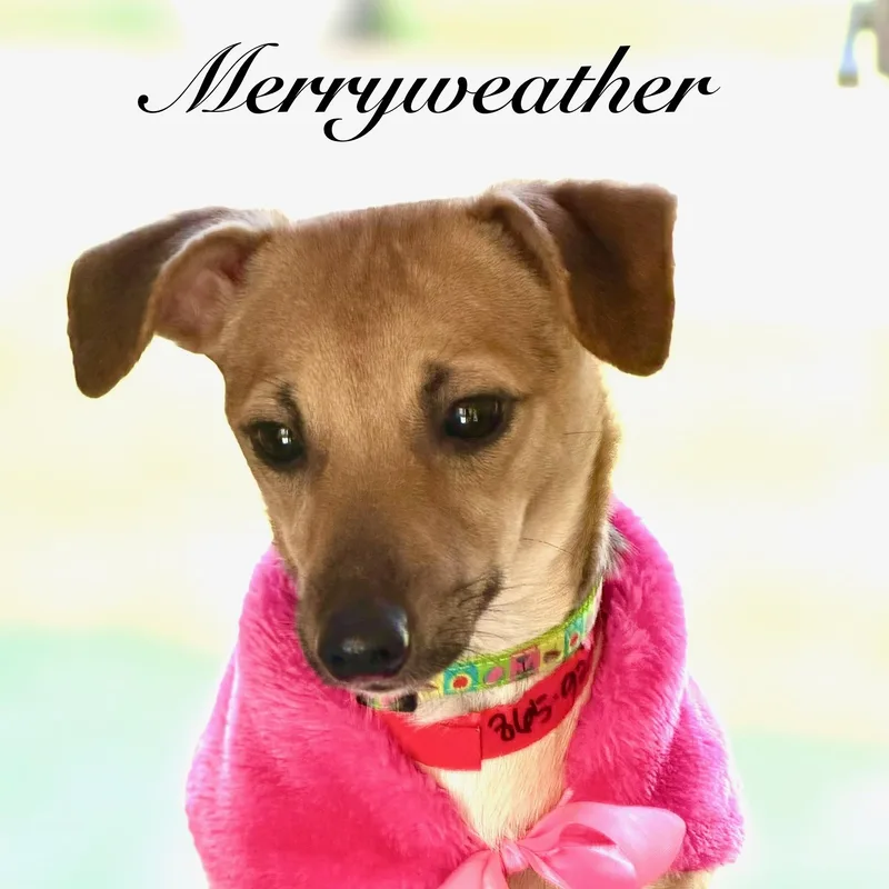 Merryweather