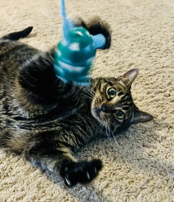 Zoey thumbnail 3