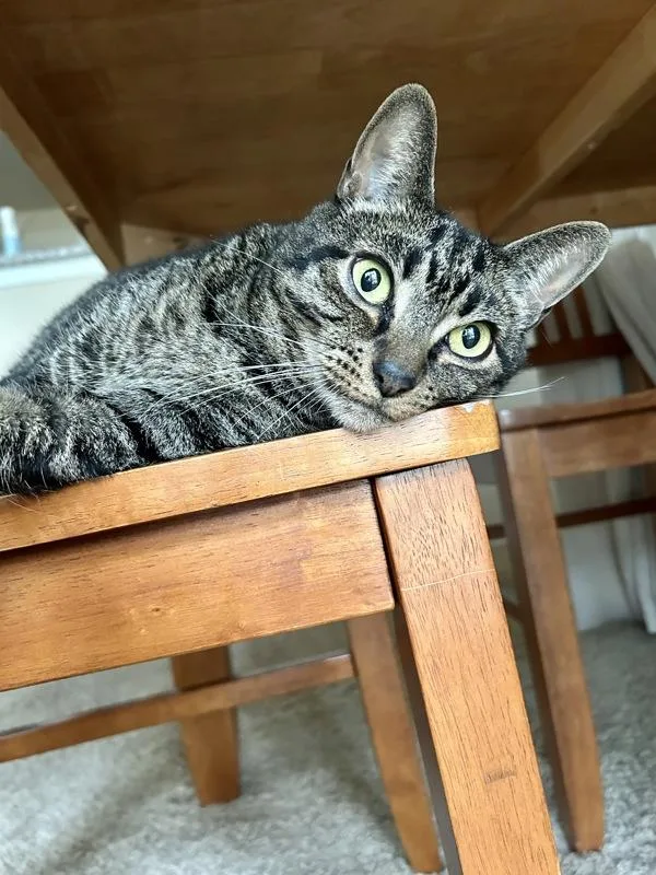 Zoey thumbnail 6