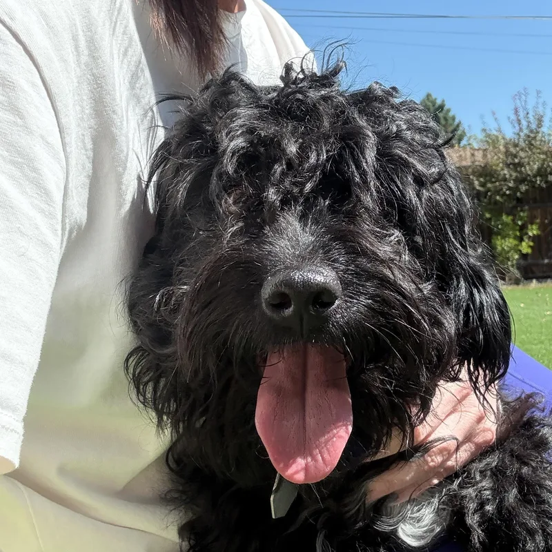 Dolly Pawton thumbnail 2