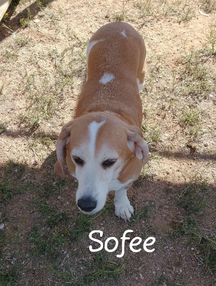 Jack & Sofee thumbnail 2