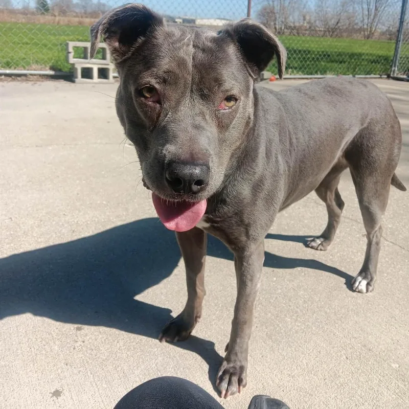 Bette Davis So Sweet thumbnail 2