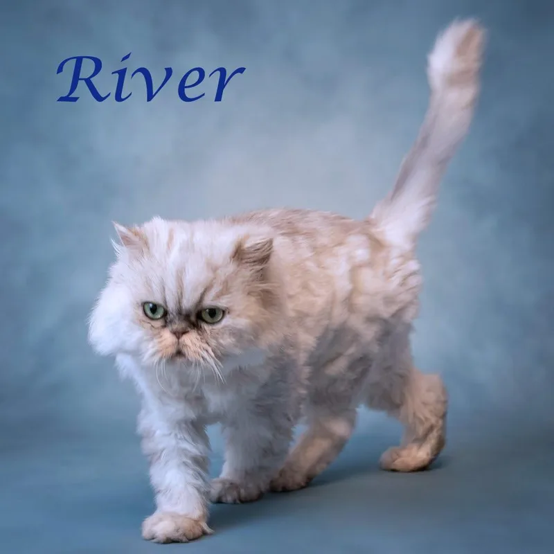 River C thumbnail 2