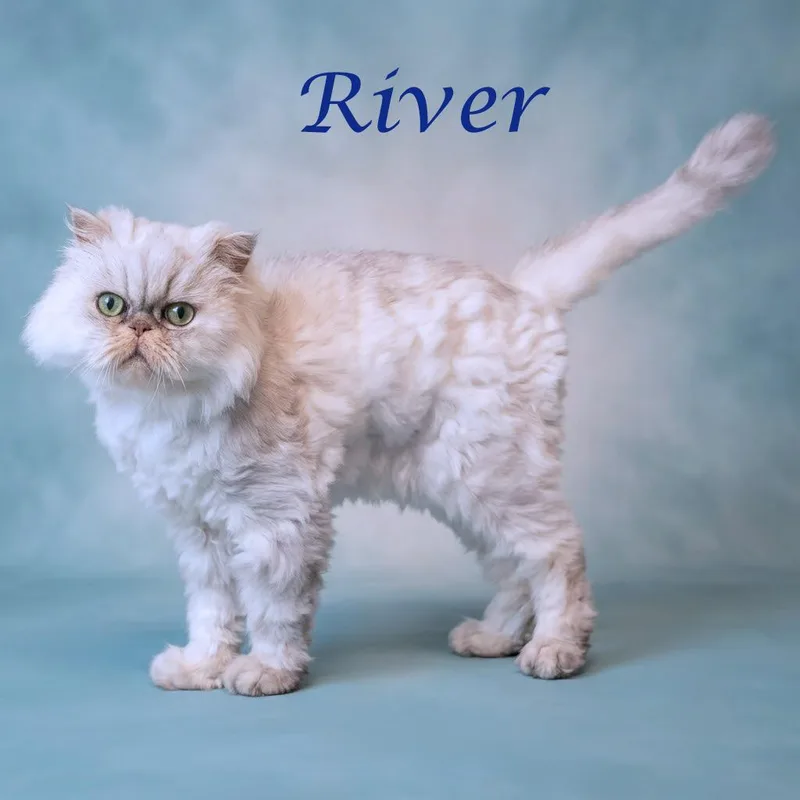 River C thumbnail 3