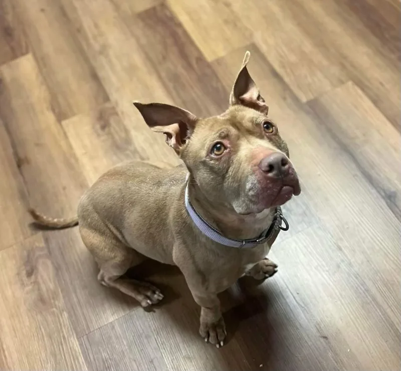 Princess thumbnail 2