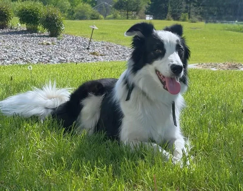 Jax