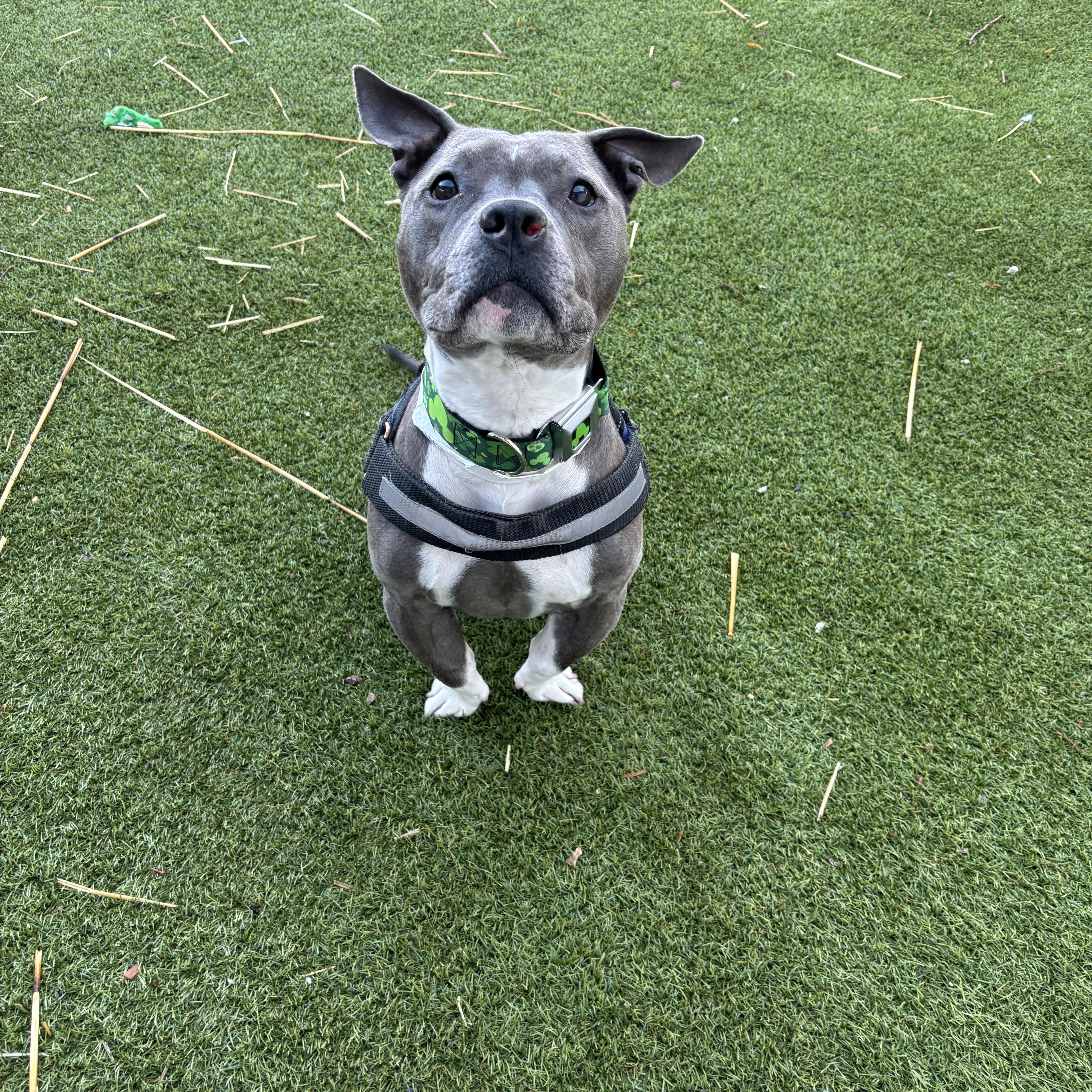 Dori & Gerald thumbnail 3