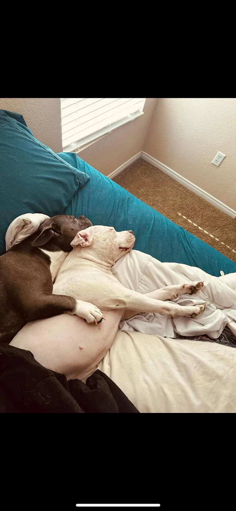 Dori & Gerald thumbnail 4