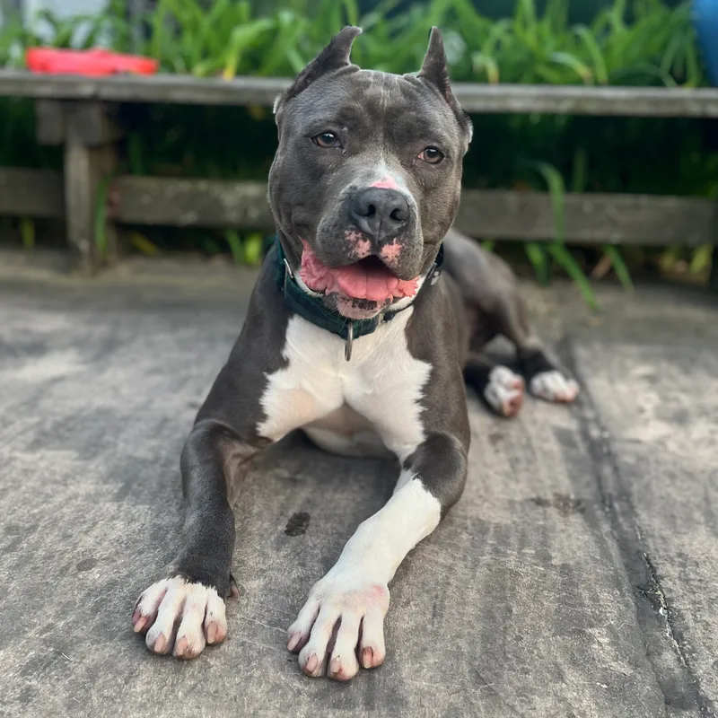 Big Beautiful Nina thumbnail 2