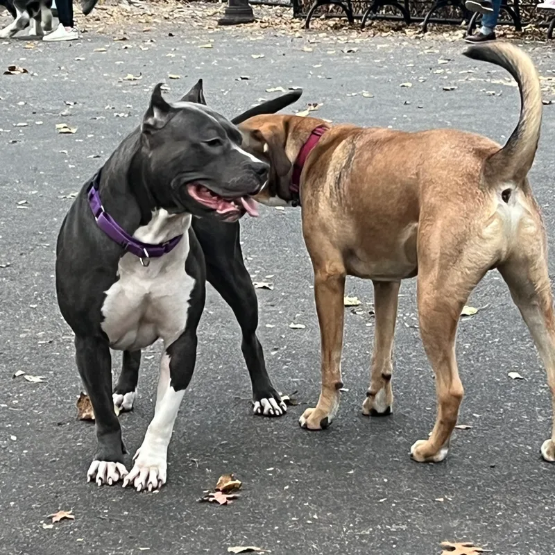 Big Beautiful Nina thumbnail 5