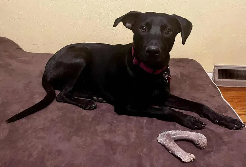 Supernova thumbnail 2