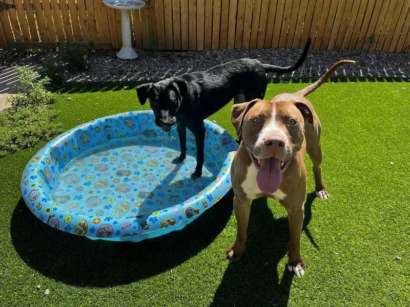 Supernova thumbnail 3