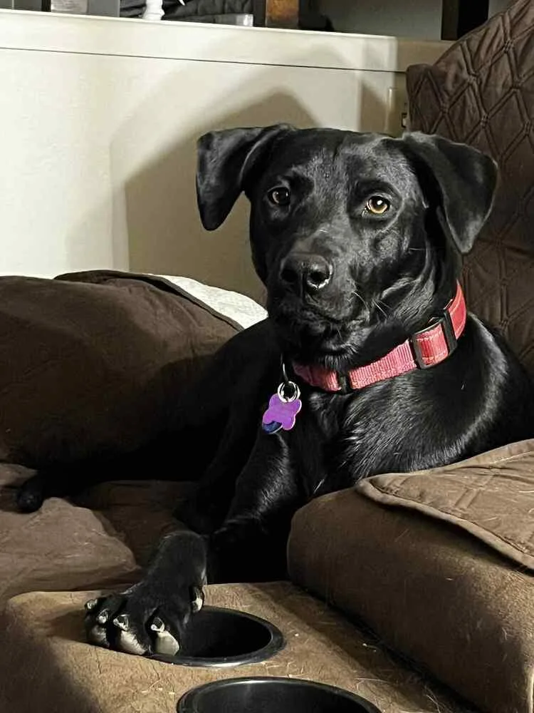 Supernova thumbnail 4