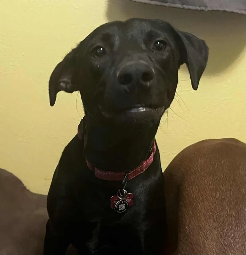 Supernova thumbnail 6