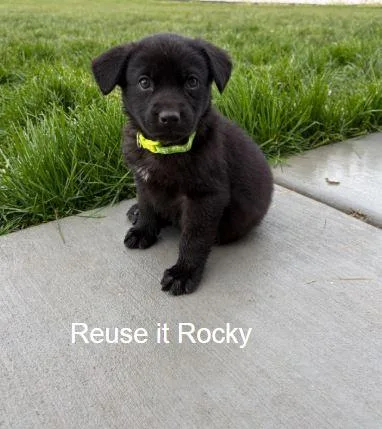 Reuse It Rocky thumbnail 2