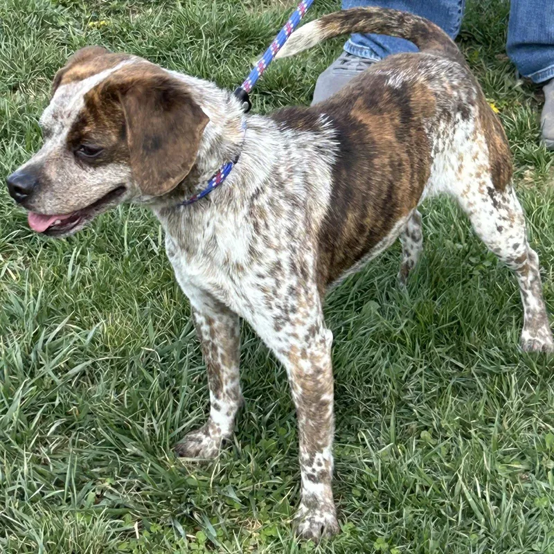 Freckles thumbnail 2