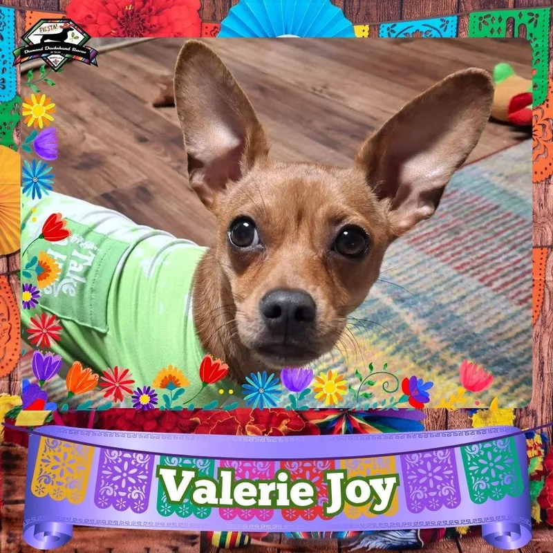 Valerie Joy thumbnail 3