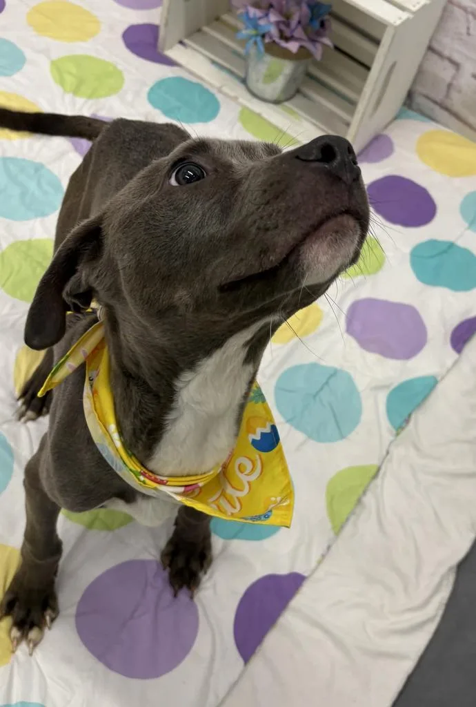 Neillsville thumbnail 2