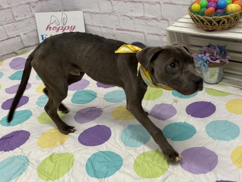 Neillsville thumbnail 3