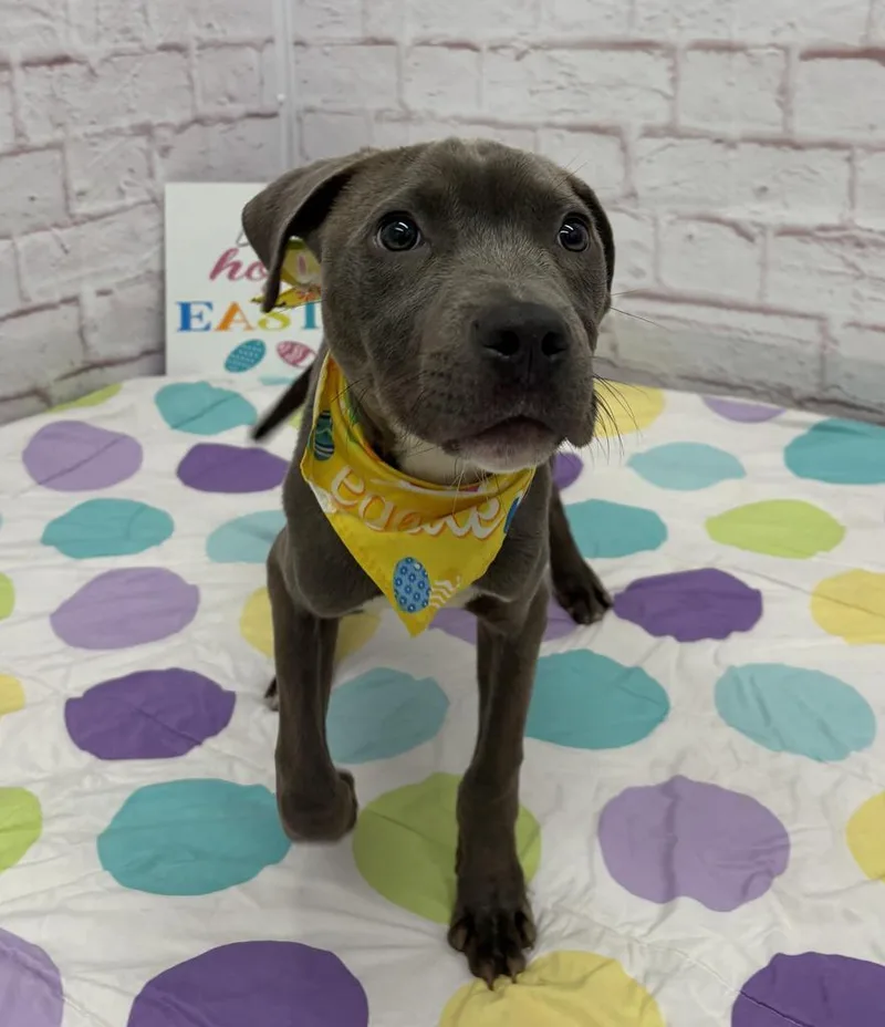 Neillsville thumbnail 4