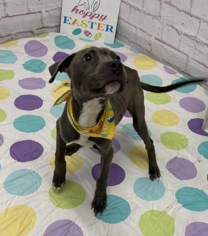 Neillsville thumbnail 5