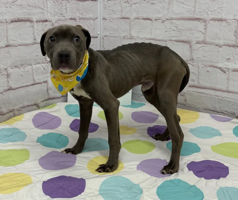 Neillsville thumbnail 6