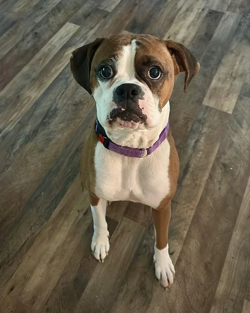 Molly