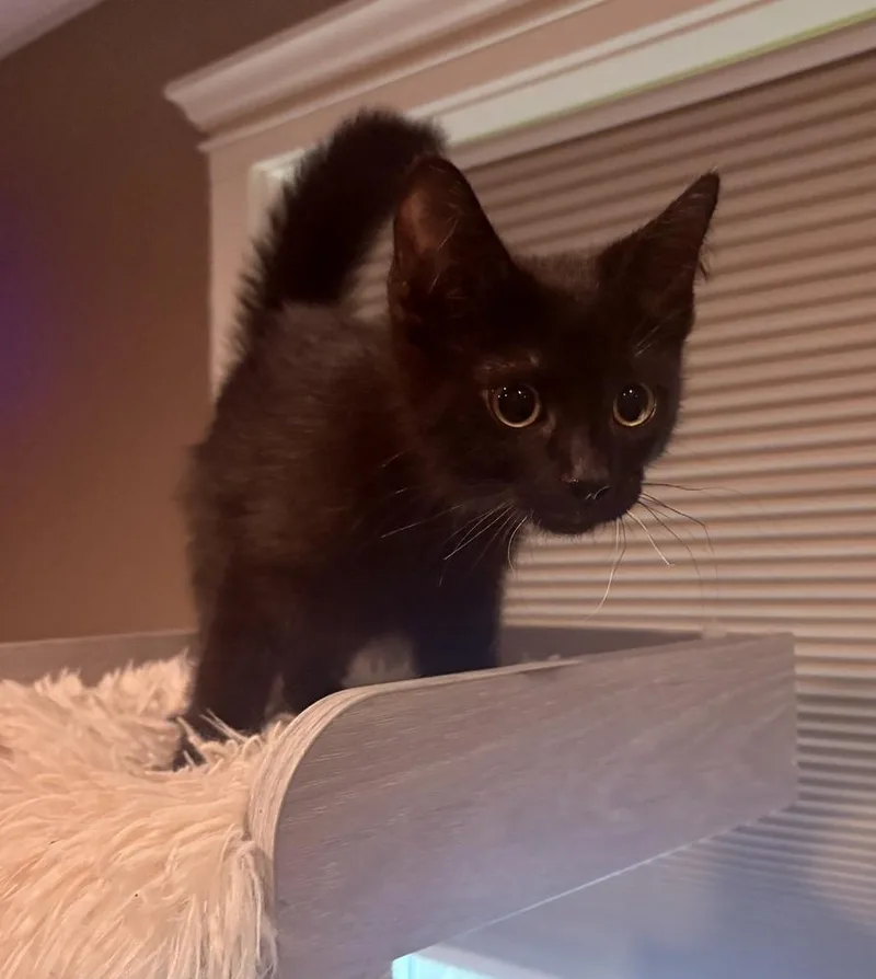 Ellie thumbnail 5