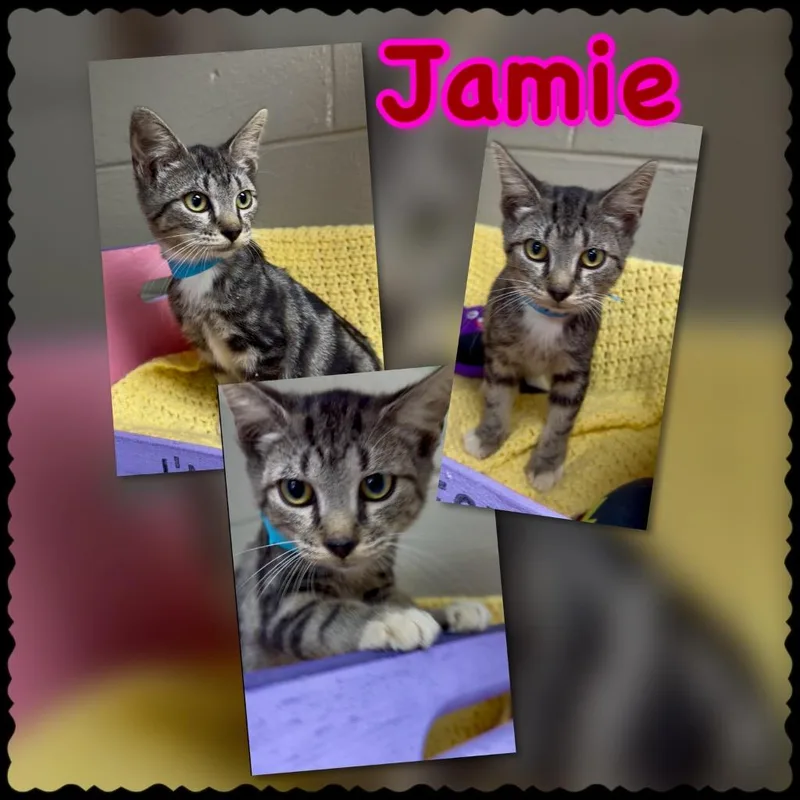 Jamie