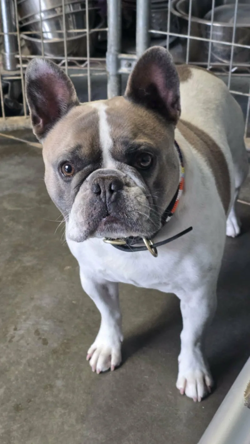 Popsread Bio thumbnail 3