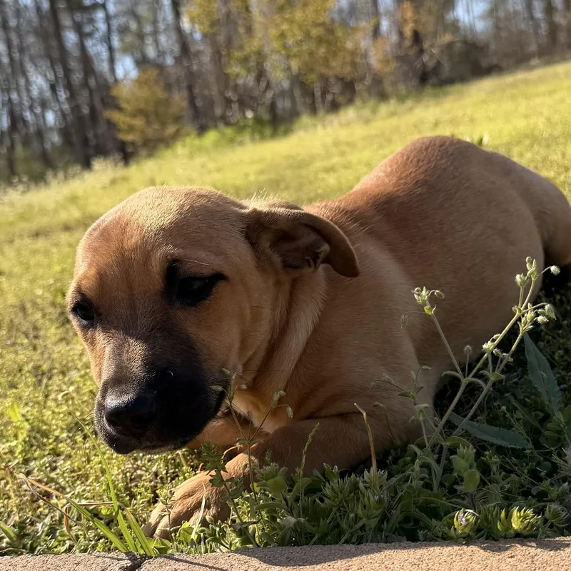 Lil’ Toosie thumbnail 2