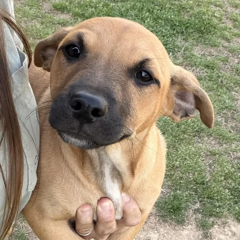 Lil’ Toosie thumbnail 3