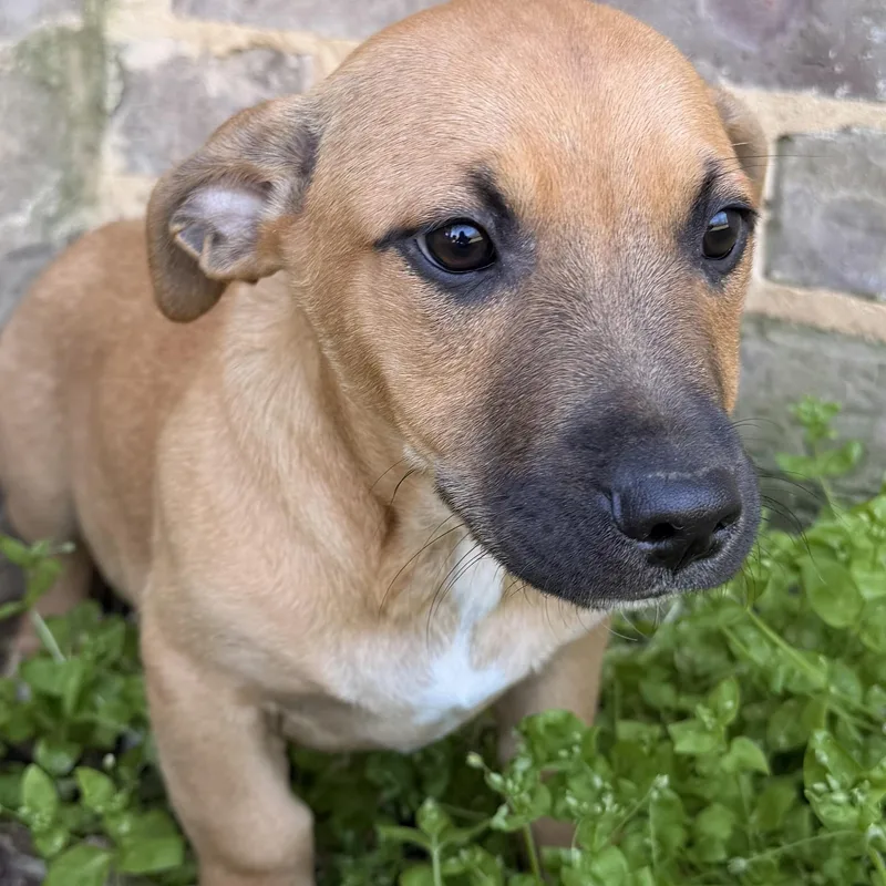 Lil’ Toosie thumbnail 5