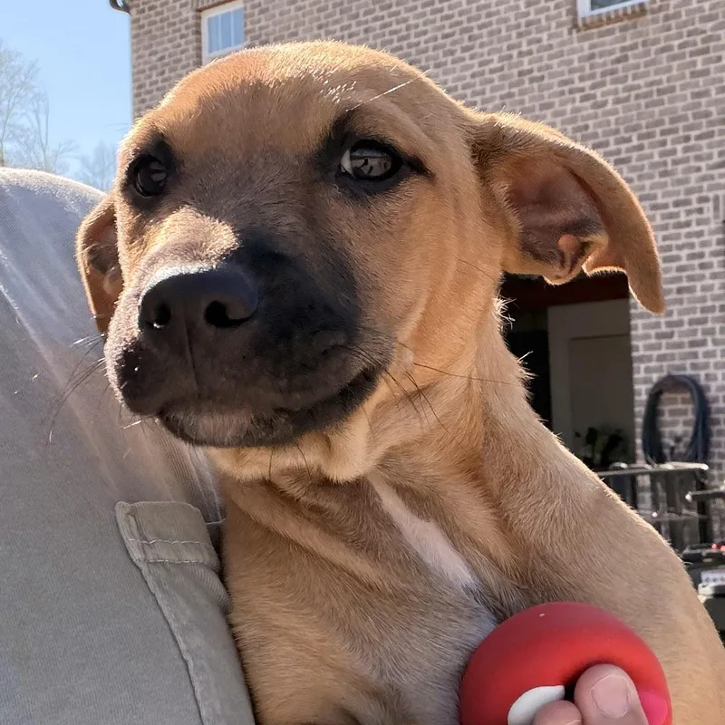 Lil’ Toosie thumbnail 6