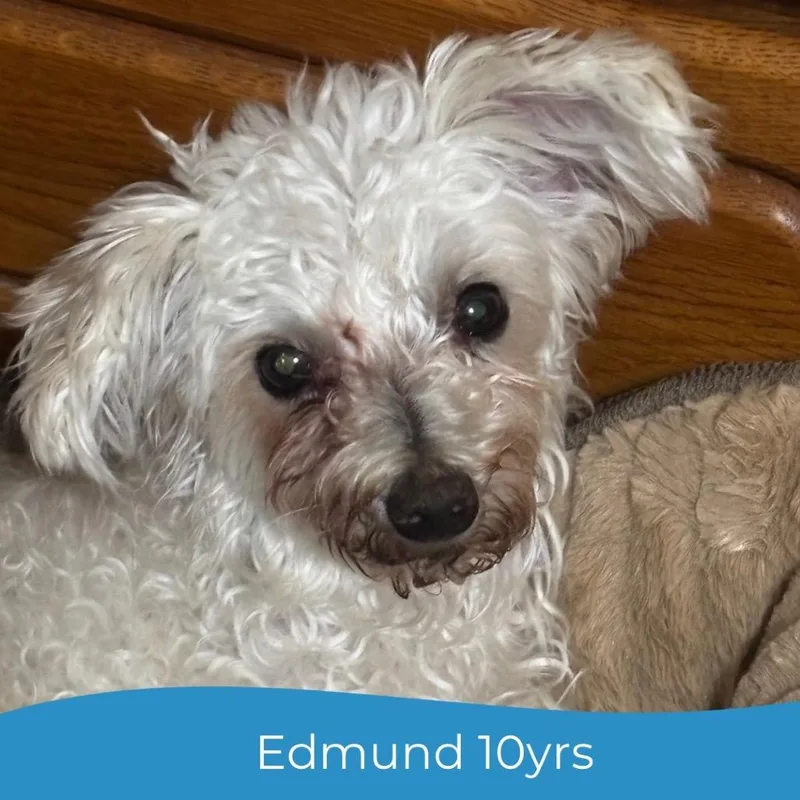 Edmund thumbnail 6