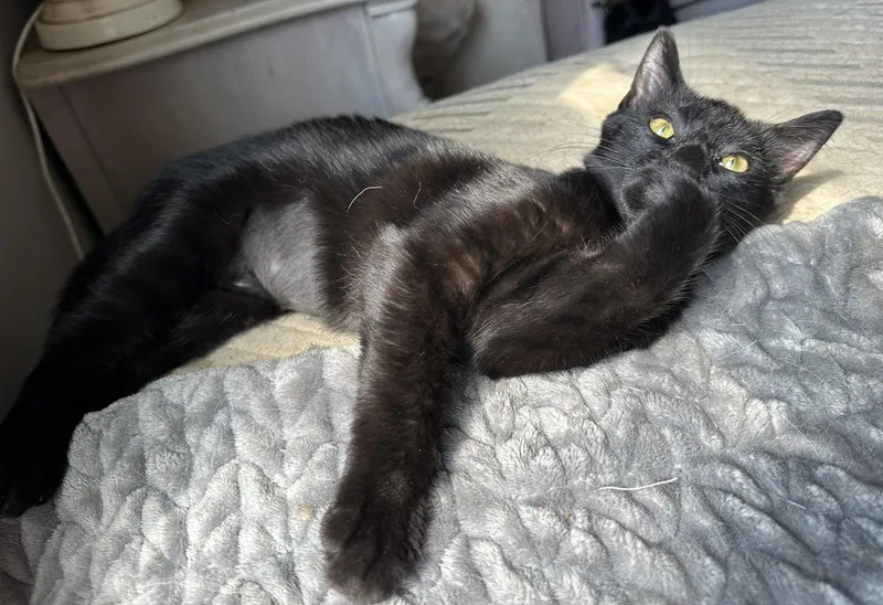 Binx