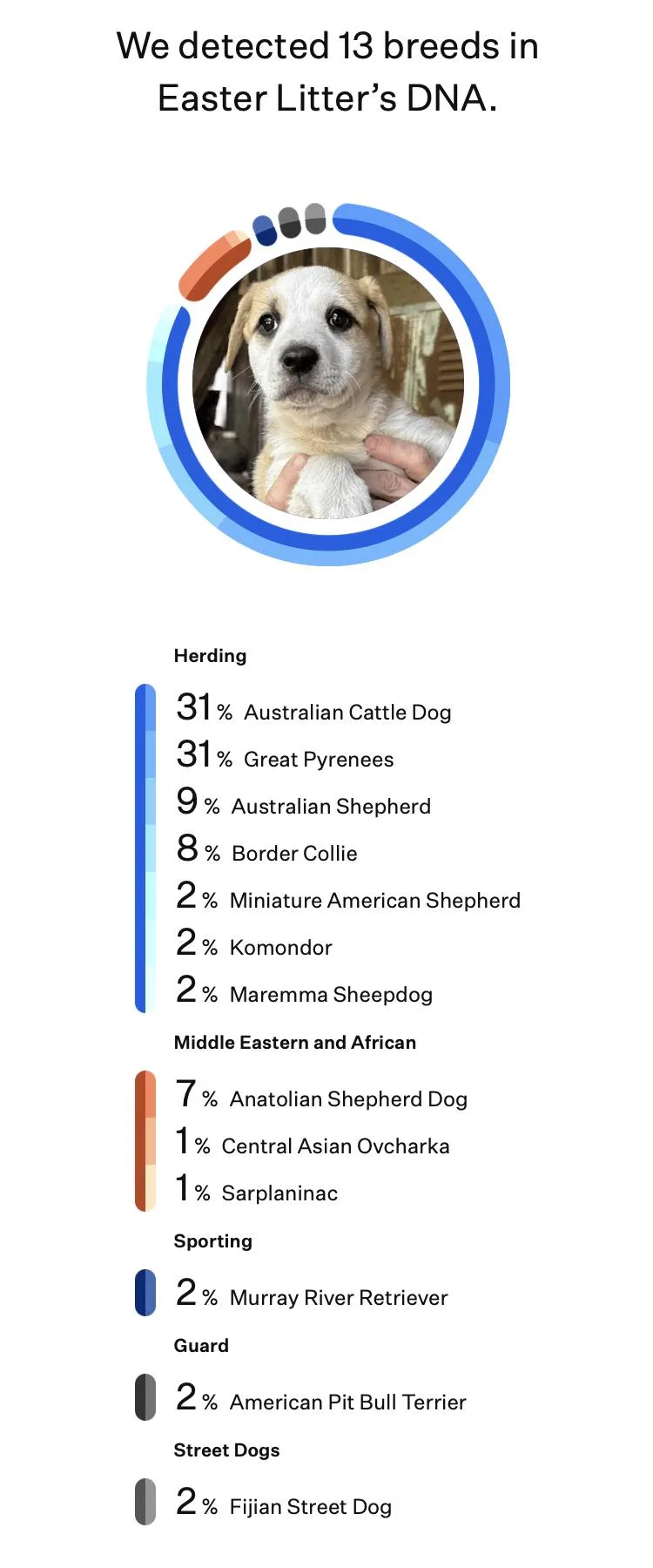 Jellybean thumbnail 5