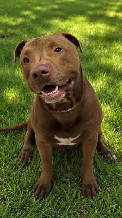 Duke