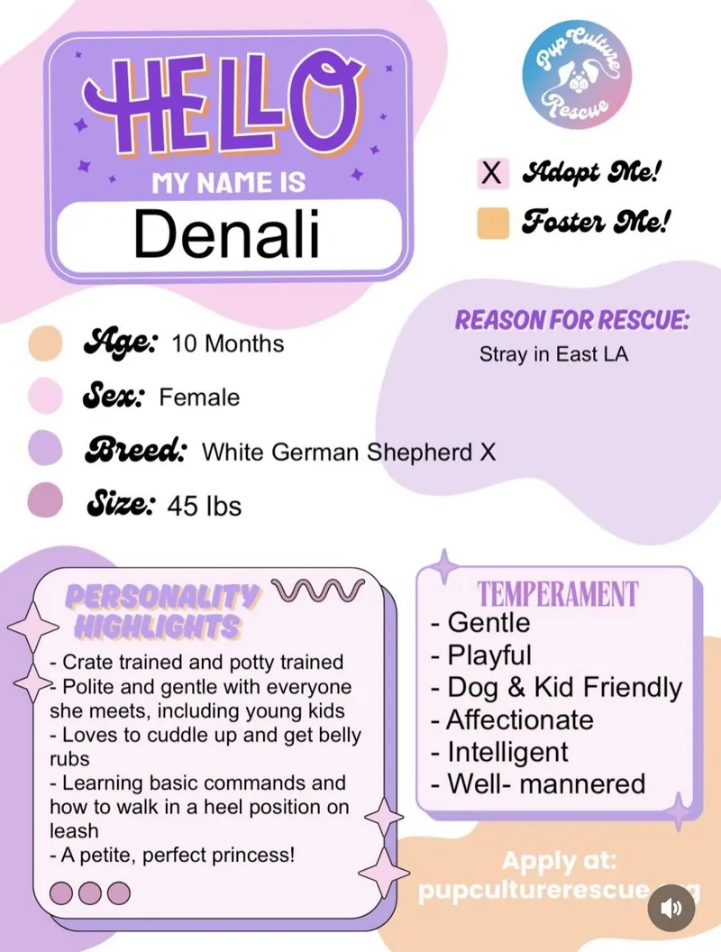 Denali thumbnail 6