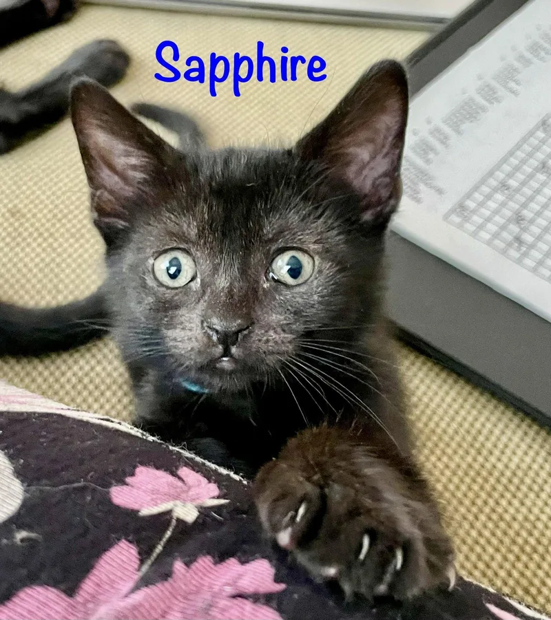 Sapphire thumbnail 3